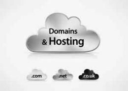 هاست و دامین