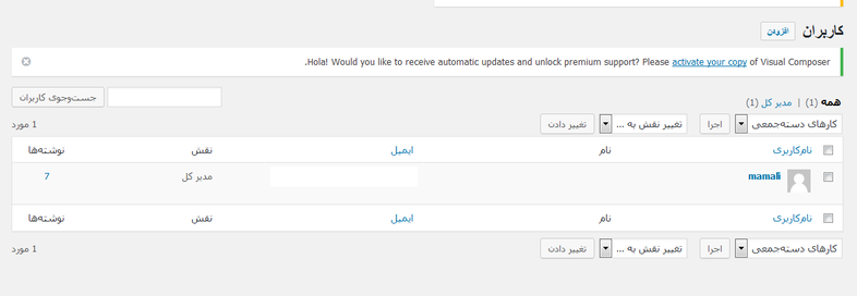 user accounts- قرار دادن پسورد روی بخش های حساس در وردپرس