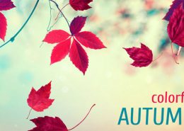 اسلایدر پاییز