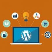 Why WordPress is the best CMS چرا وردپرس بهترین سیستم مدیریت محتوا است