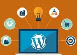 چرا وردپرس بهترین سیستم مدیریت محتوا است