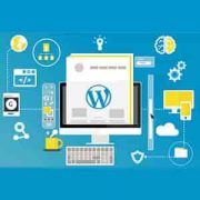 wordpress-web-design طراحی سایت وردپرس