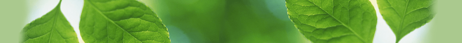 طراحی اسلایدر